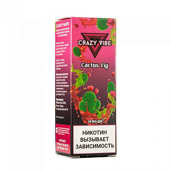 Ар Crazy Vibe SALT "Кактусовый финик" 30-20